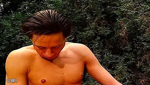 DVD ngentot anal
