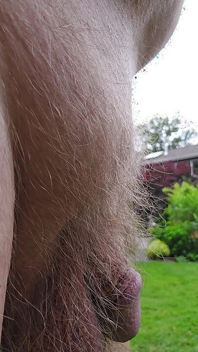Backyard Coffee