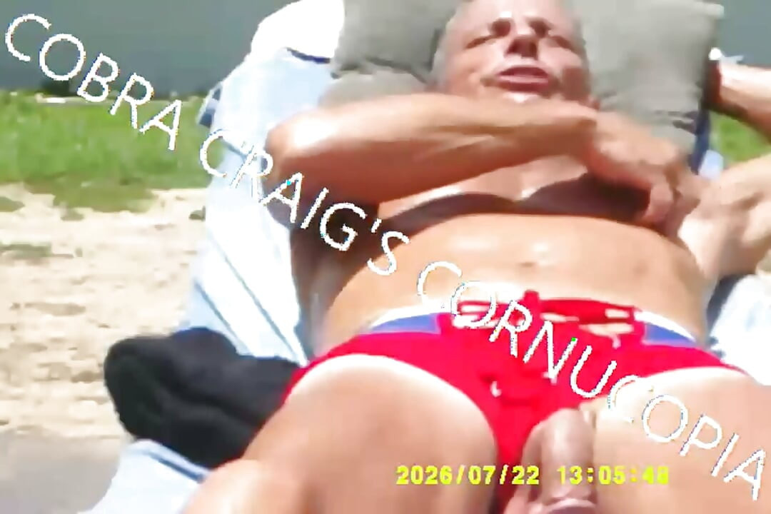 7-19-2026 the Cock the Sun Singing Venus Was Her Name Free Bird Wishing You Were Here
