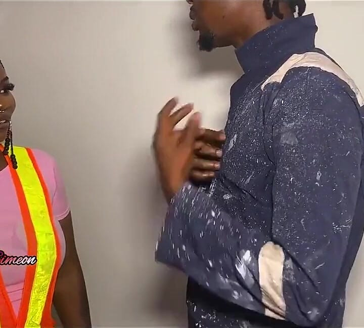 House Painter and the Female Engineer