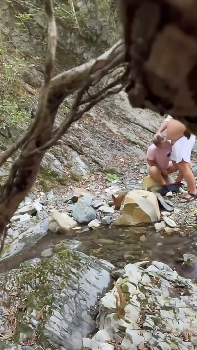 Fucked in the Woods