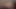 الملاك الآسيوي 25192