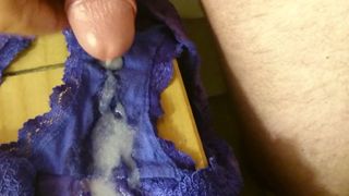 Cumming on Blue Lace Panties