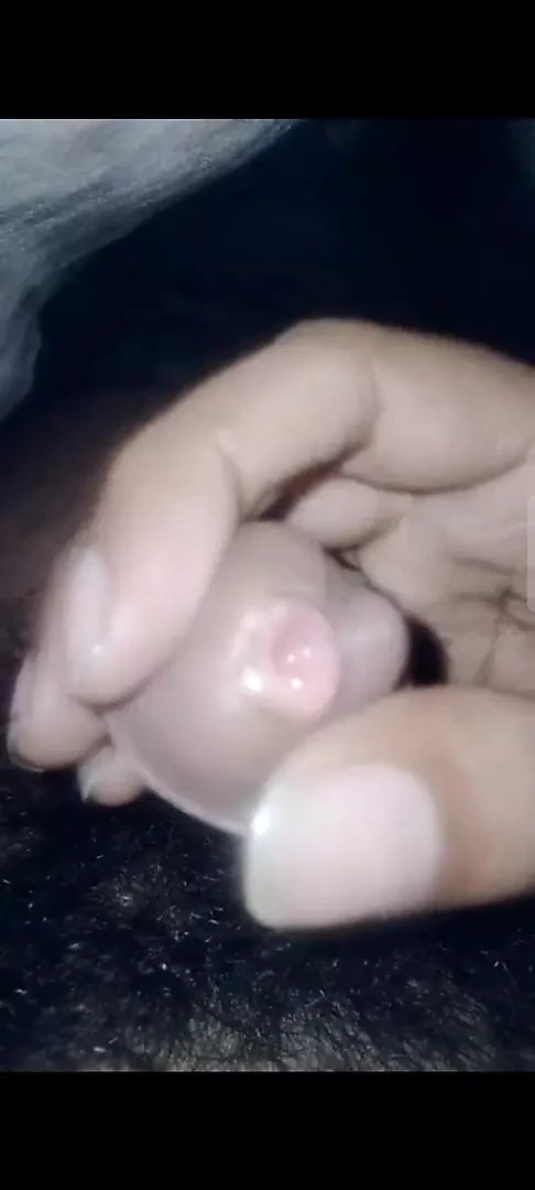 الديك الكبير الرجيج قبالة المتشددين ماستر