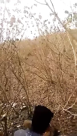Bhabi ki chudai jangal