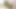 彼女はペニスをしゃぶり、脚を大きく開いてセックスを始める