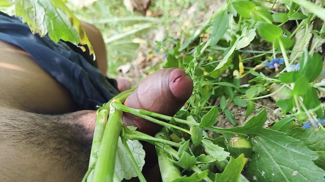 Desi village sarso ke khet me manoranjan