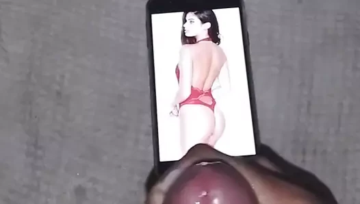 Sara sampaio döl haraç
