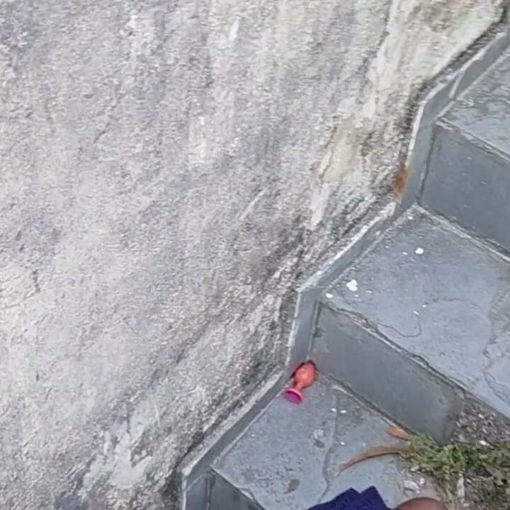 Mulatto Didn't Let Me Enter the House and Hit Me on the Stairs