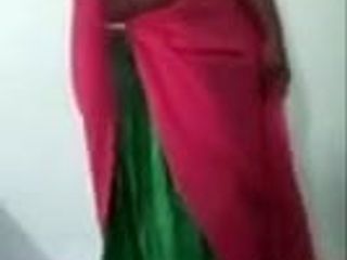 빨간 사리 옷을 입은 인도 바비