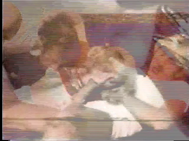 merle michaels show girls superstars