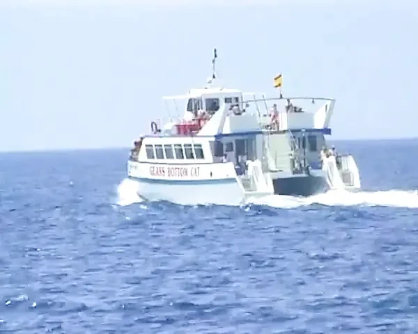 Cum Eating Stepsis Pleasing Stepbro on Vacation