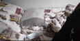 Pregled videozapisa