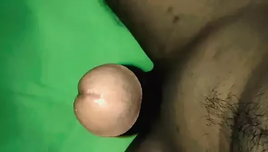 penis dansı