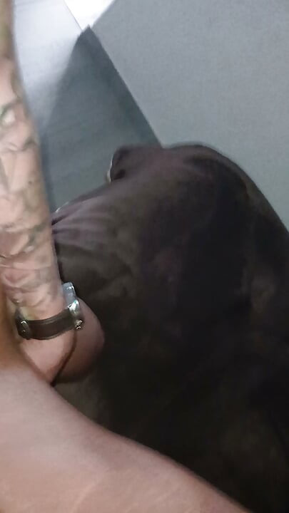 I fuck my brother's friend like a whore