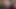 BBW Paisleyray123