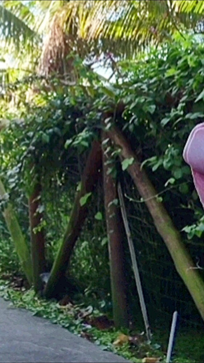 Risky handjob for hot redhead on the walk in the park in public! | Clip 1