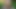 芝生で叩くのにぴったりの尻だ