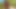 Nude camping cum