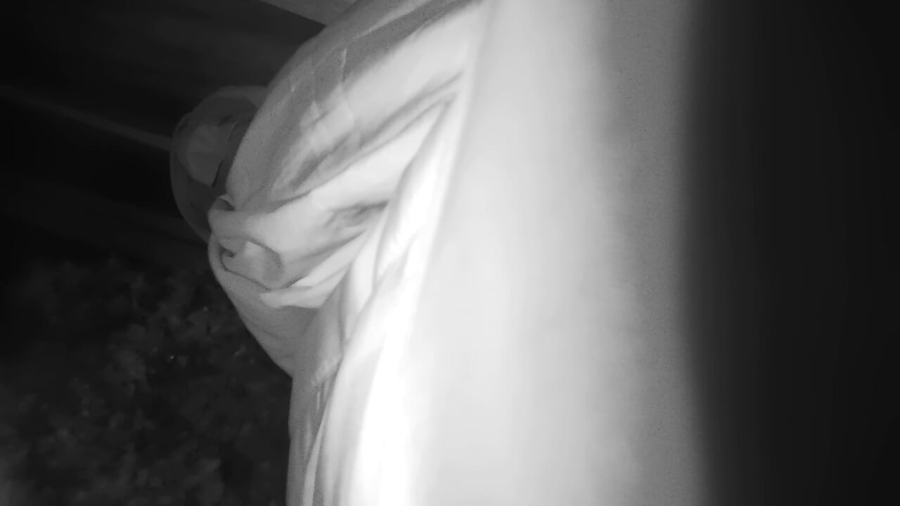 sucking daddies dick