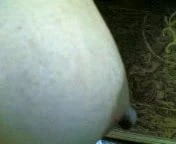 Hot Aunty Boobs