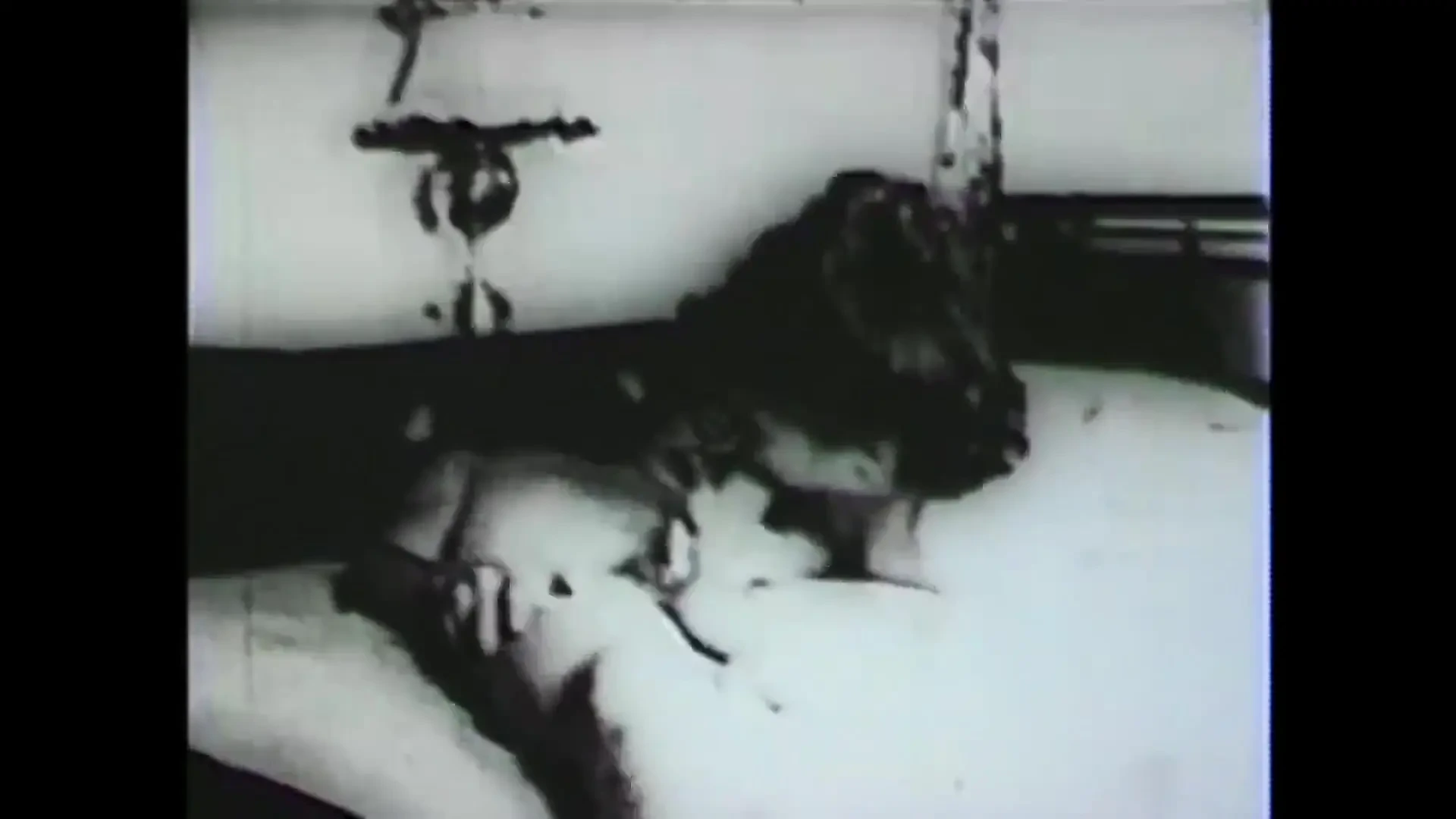 Anal,brunette,big ass