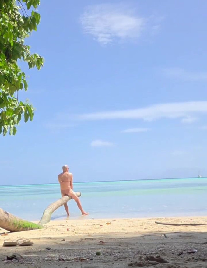 Aurora Seychelles in Paradise