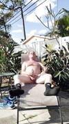 Pregled videozapisa