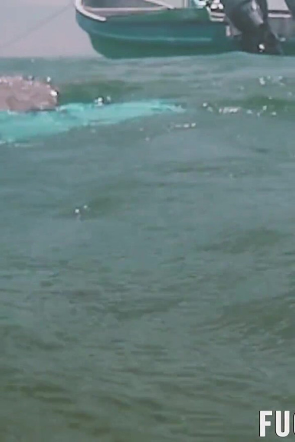 Free Diving Fins Under Open Sea Sexy Latina Goddess