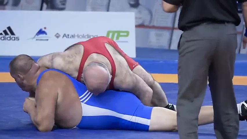 Bear wrestling