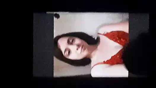 Cum haraç için pikimony