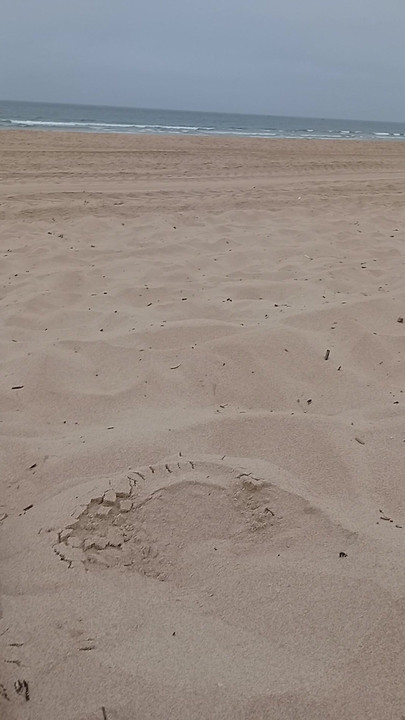 Nudist beach