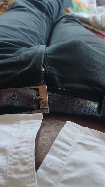 MY PENIS OR COOK is big