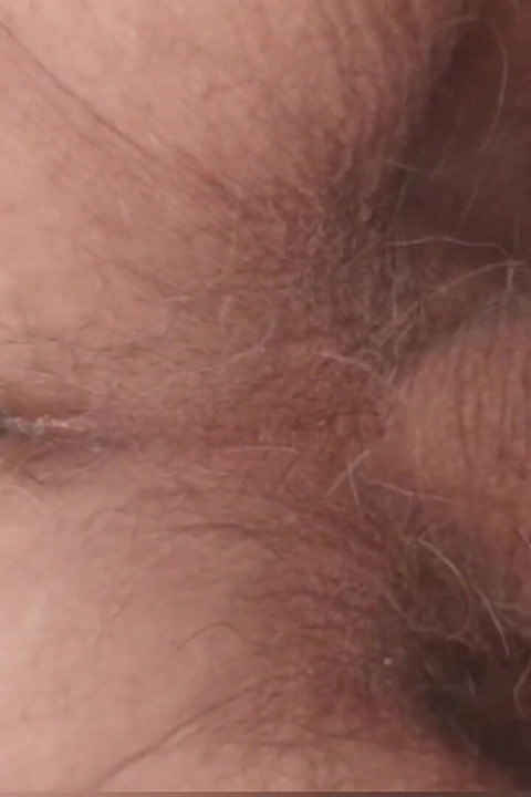 Plug-In Ass'la Oynamak