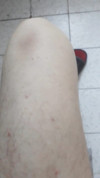 Pratinjau video