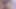 PORNO NEW BUTT - JOCKER'S COCK