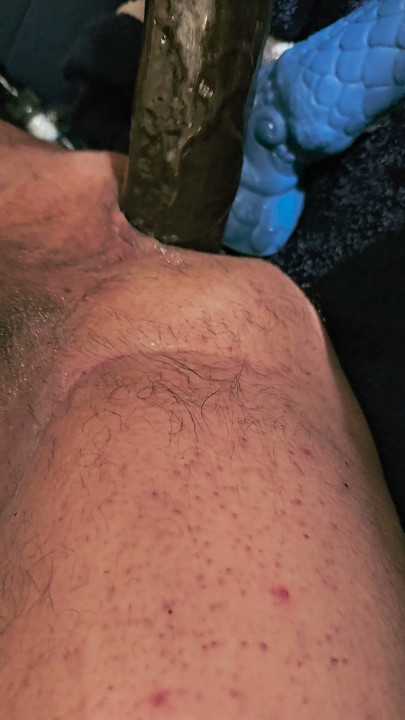 fuck my ass please