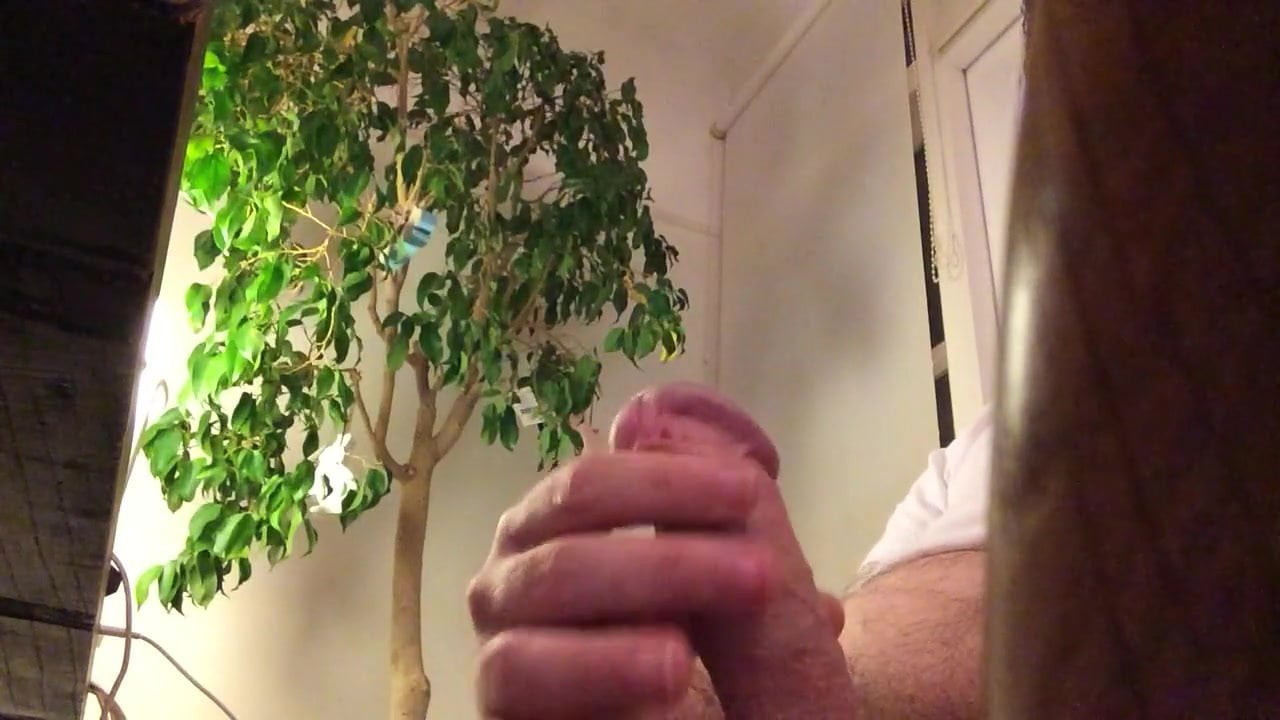 Cumming again