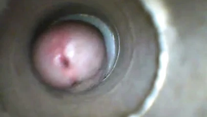 hubaloo