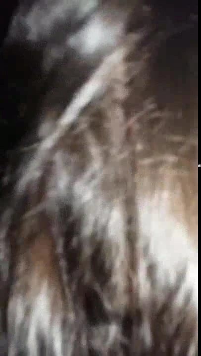 Orgasme avec une brune vraiment bien gaulee