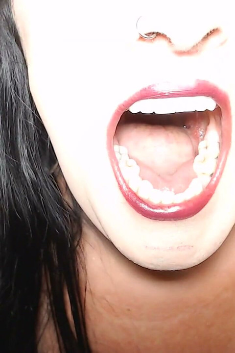 Super Mouth Tour Everything
