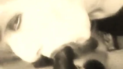Korkak ve bir yapay penis - emme