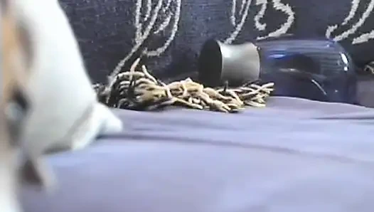 Sexy oma bekommt von einem jungen typen und ihrem ehemann ihre muschi hart geknallt