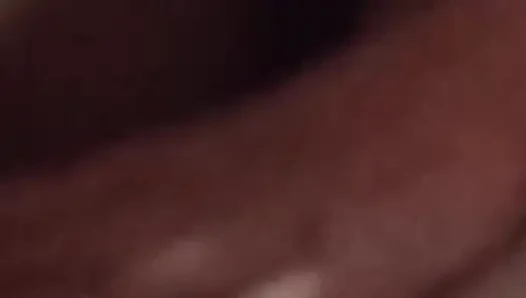 loving wife blowjob