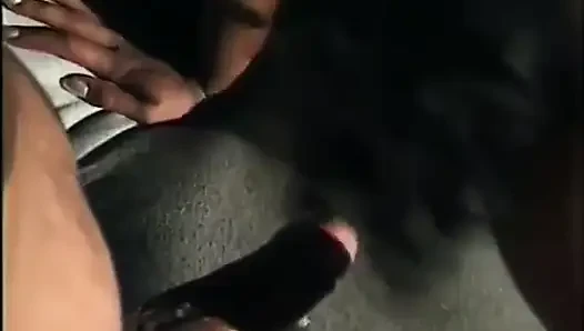 Tubuh hitam sempurna menjilati memek ngentot memek
