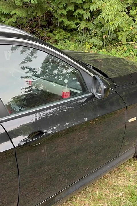 I Fuck My Best Friends Stepsister in the Forest