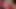 LADY IN RED CELEBRATING CHRISTMAS WITH BIG PENIS AND SPERM