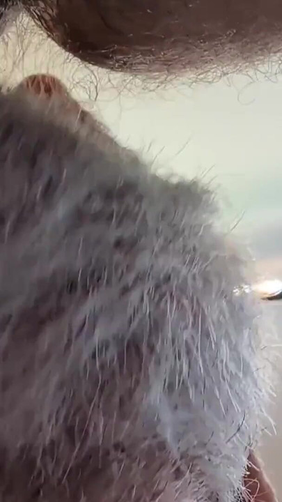 Epic moment from "Two Hairy Daddys in bed afterwork - Seattle gets bred"