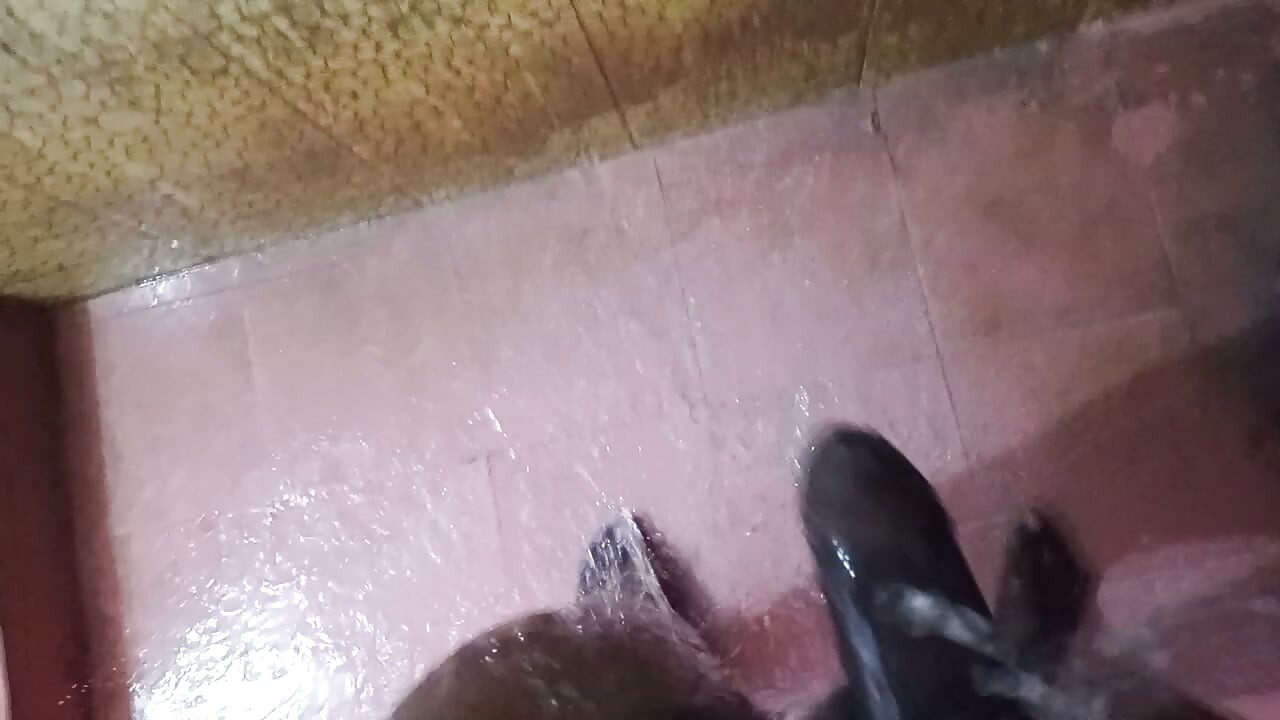 My pines pathing