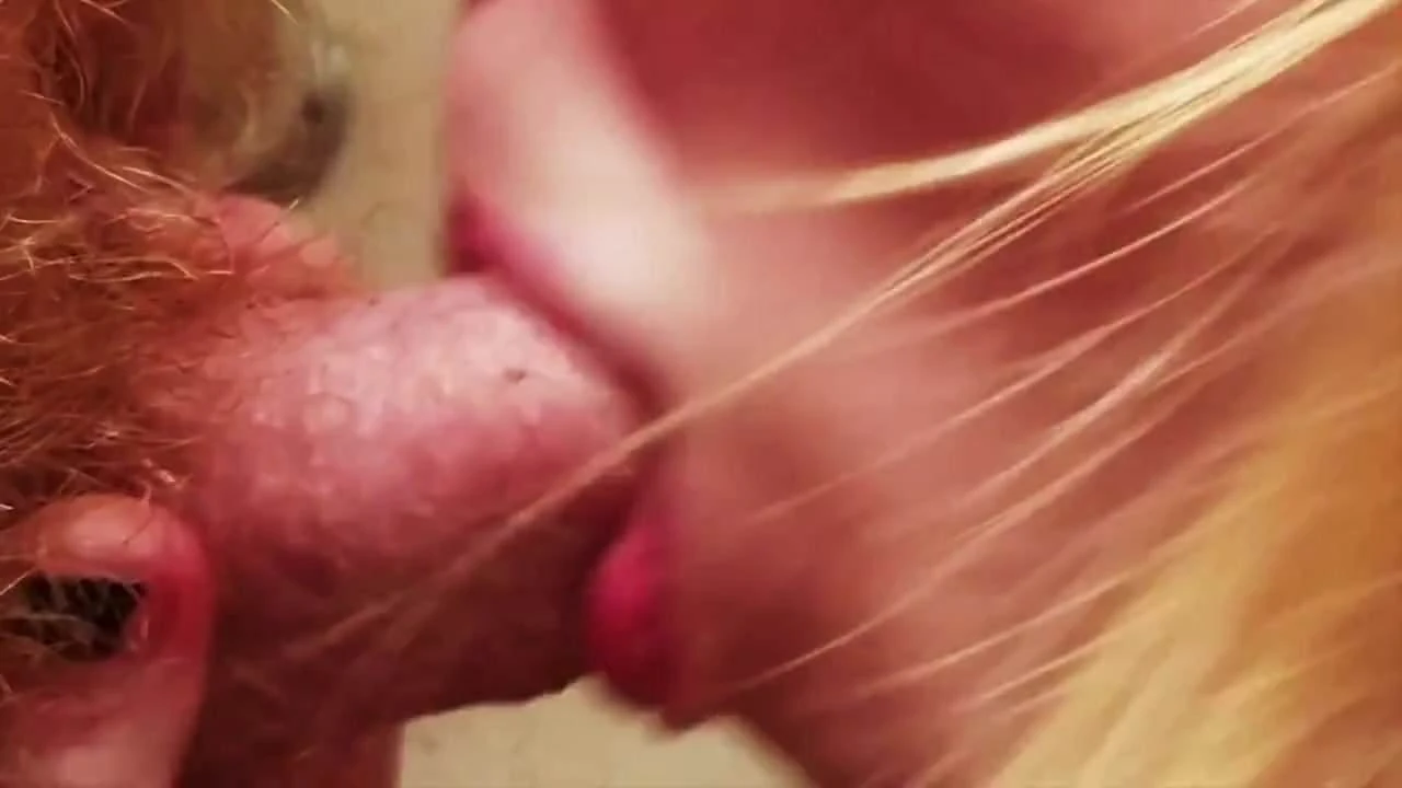 Wife sucks my cock